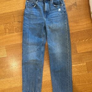 Everlane Light Blue Organic Cotton Jeans